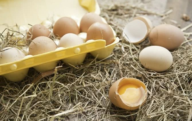 Яйцо куриное (желток): калорийность и содержание белков, жиров, углеводов